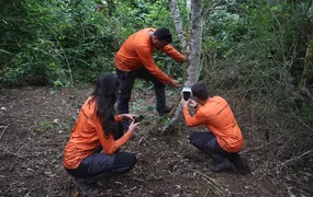 Estado do RJ divulga registros inéditos da fauna em áreas restauradas por programa Florestas do Amanhã