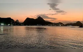 Estudo da UFF identifica níveis de mercúrio em peixes da Baía de Guanabara
