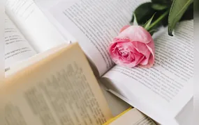 Hoje é Dia Mundial da Poesia: 19 poetas brasileiras para conhecer e celebrar