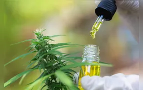 Importação de cannabis por brasileiros bate recorde em 2025, com quase 200 mil autorizações