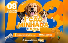 Itaboraí 193 anos: 1ª Cãominhada da cidade acontece neste sábado (09) na Avenida 22 de Maio