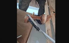 Jiboia é encontrada dentro de sofá em Arraial do Cabo