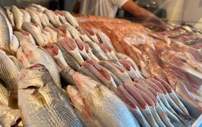 Mercado de São Pedro se prepara para a Semana Santa com alta na procura e preços variáveis