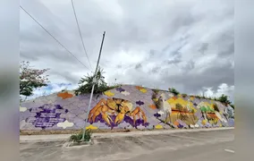 Murais de São Gonçalo: Geografia urbana e diversidade sob a ótica da arte espalhada pela cidade