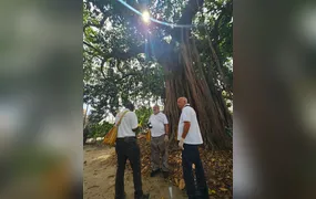 Niterói intensifica ações contra a dengue e reforça estratégia de prevenção no verão