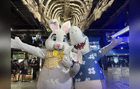 Páscoa no AquaRio terá oficinas infantis e encontro com o Coelho em programação especial