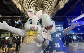 Páscoa no AquaRio terá oficinas infantis e encontro com o Coelho em programação especial