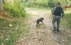 Polícia busca em matas de Duque de Caxias, na Baixada, o jovem que foi sequestrado em Niterói