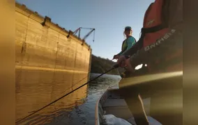 Poluentes invisíveis na água ameaçam pesca, biodiversidade e saúde no Rio