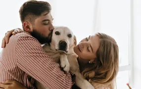 Projeto de lei que garante guarda compartilhada de pets é aprovado no Senado Federal