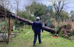 Rio Grande do Sul: chuvas deixam 720 desabrigados em Eldorado do Sul