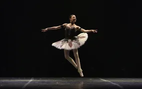 Rio de Janeiro tem 58 grupos confirmados no Festival de Dança de Joinville