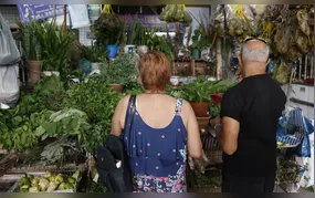 Tradição e fé impulsionam busca por banhos e ervas no fim de ano