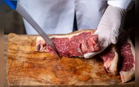 União Europeia proíbe importação de carnes, ovos e mel do Brasil