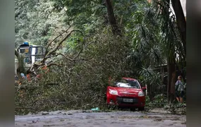Vendaval e temporal danificaram o carro: quem paga a conta? Seguradora, motorista ou poder público?