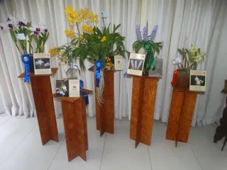 39ª Exposição de Orquídeas de Niterói reúne apaixonados pela natureza em Charitas