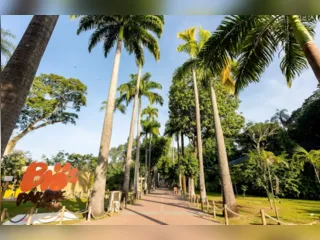BioParque do Rio prorroga promoção de ingressos a R$10 para o Mês das Crianças e apresenta o Reino dos Axolotes