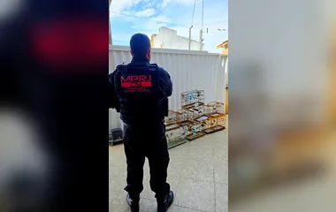 Operação nacional prende 18 pessoas pelo tráfico de fauna silvestre em 11 estados