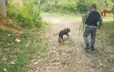 Polícia busca em matas de Duque de Caxias, na Baixada, o jovem que foi sequestrado em Niterói