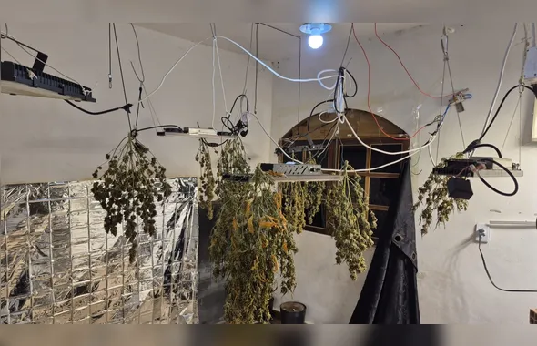 PM apreende cerca de 200 quilos de maconha e desarticula estufa para cultivo da droga no Jardim Catarina, em São Gonçalo