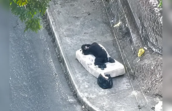 "Soneca” do tráfico é preso enquanto dormia em rua de comunidade de São Gonçalo