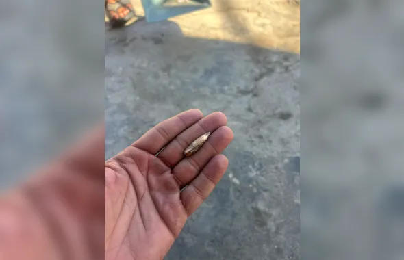Tiroteio assusta moradores do Complexo do Salgueiro, em SG, na manhã deste sábado (4); Vídeo