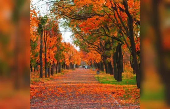 Verão termina nesta sexta, mas calor ainda deve continuar no Brasil