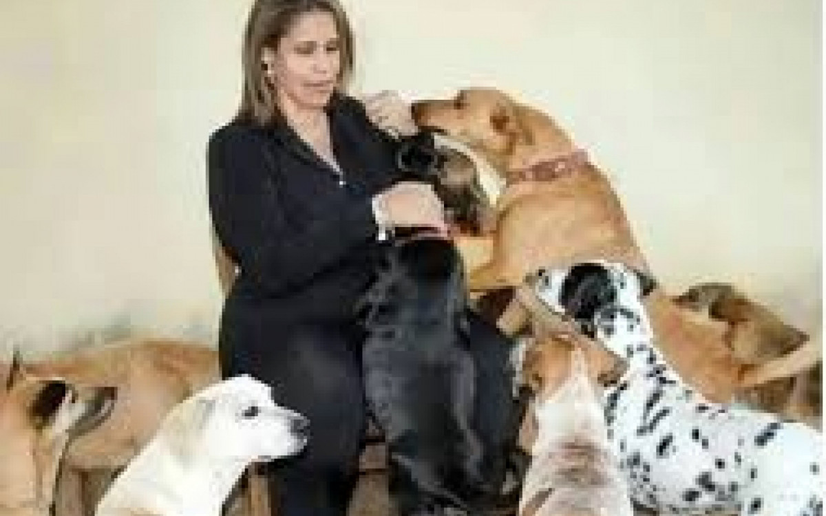 Sindicato faz apelo humanitário em favor da jornalista Patrícia Nunes