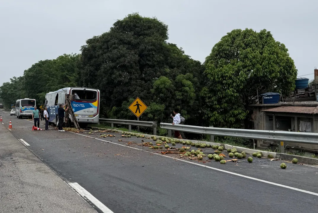 Parte da carga de cocos ficou espalhada na pista