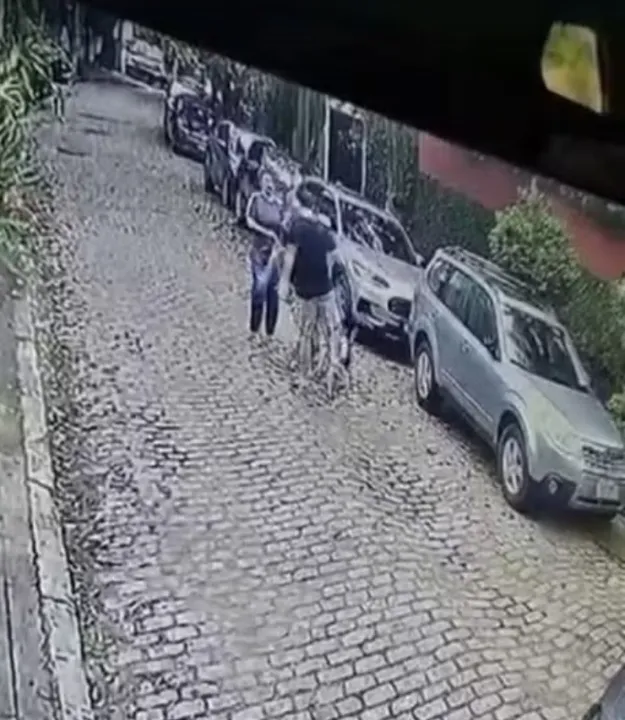 Câmeras do circuito de rua confirmaram as agressões aos cachorros e à mulher