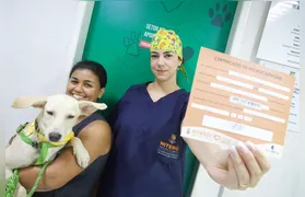 Ação Animal oferece serviços gratuitos para cães e gatos em Santa Bárbara neste sábado (19)