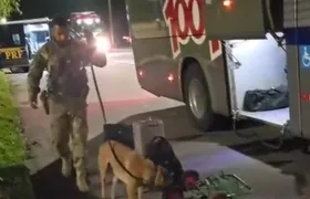 PRF apreende mais de 2 quilos de cocaína; vídeo!