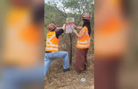 São Gonçalo participa de operação de combate ao desmatamento da

Mata Atlântica