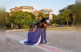 UFF convida para a 15ª edição do Festival Interculturalidades