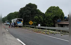 Caminhão perde carga de cocos após acidente no Salgueiro