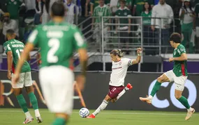 Em jogo muito disputado, Palmeiras vence Fluminense nos pênaltis e está na  final da Libertadores