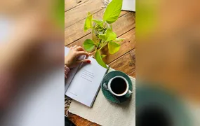 Flipo: Inscrições para concurso literário em São Gonçalo entram na reta final