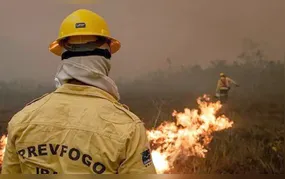 Focos de incêndio no Amazonas diminuem após ação de força-tarefa