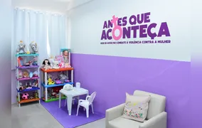 Governo do Estado institui Programa Salas Lilás nas delegacias e em unidades do IML