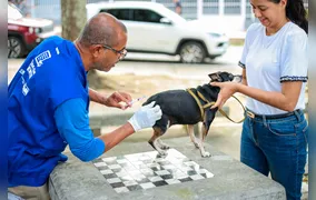 Itaboraí inicia vacinação antirrábica gratuita para cães e gatos