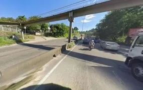 RJ-104 sofre retenções após cavalo ser atropelado