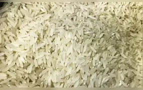 Terremoto: Brasil doará 10 toneladas de arroz à Colômbia