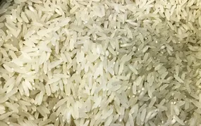 Terremoto: Brasil doará 10 toneladas de arroz à Colômbia