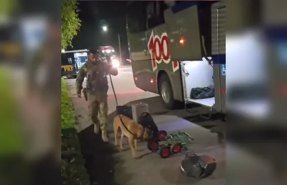 PRF apreende mais de 2 quilos de cocaína; vídeo!