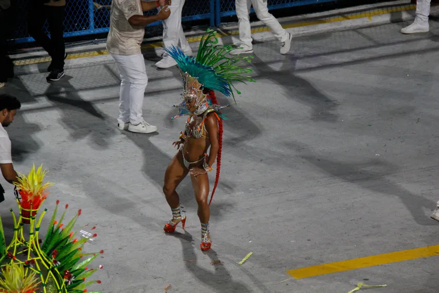 Fotos - Veja o desfile da Unidos do Viradouro