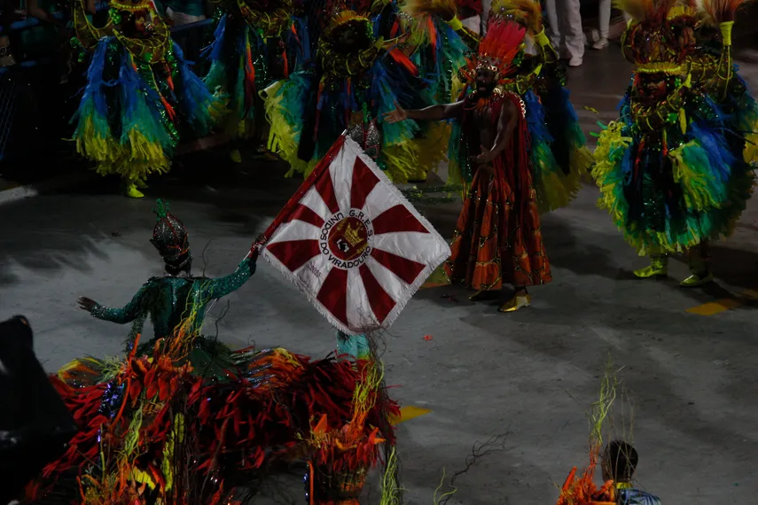 Fotos - Veja o desfile da Unidos do Viradouro