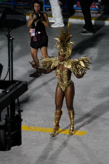Fotos - Veja o desfile da Unidos do Viradouro
