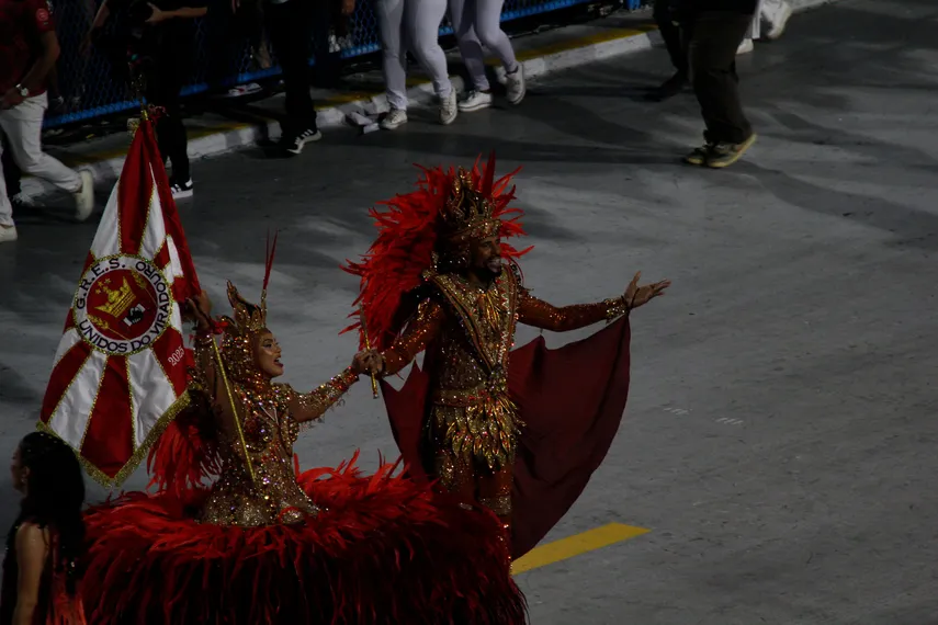 Fotos - Veja o desfile da Unidos do Viradouro