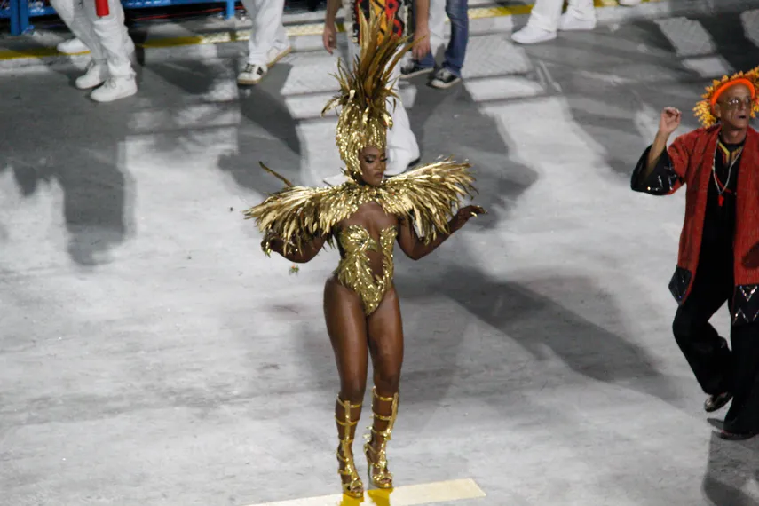 Fotos - Veja o desfile da Unidos do Viradouro