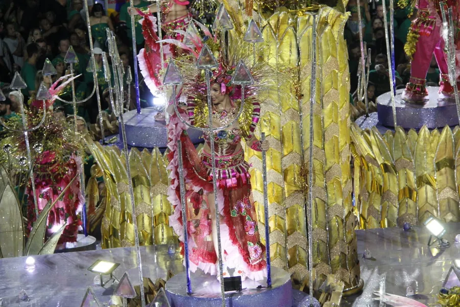 Fotos - Veja o desfile da Unidos do Viradouro